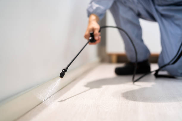 Rodent Entry Point Assessment in Zionsville