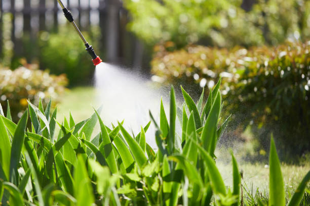 Tamper-Resistant Bait Stations for Rodents in Zionsville