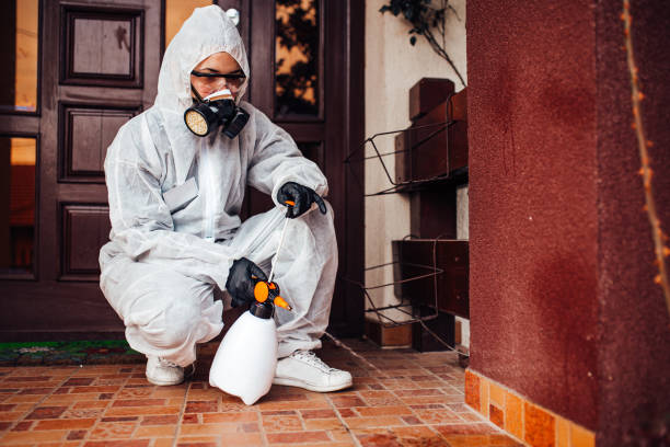 Attic and Crawl Space Rodent Treatment in Zionsville