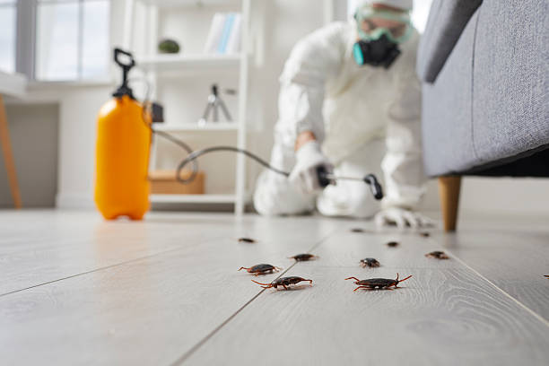 Commercial Rodent Management in Zionsville